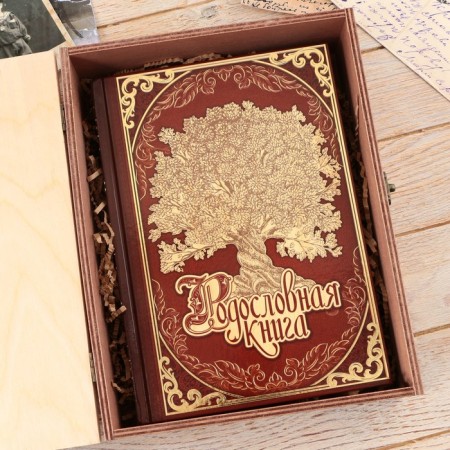 The genealogy book in the box "Tree of Life", 56 sheets, 20 x 26 cm-14