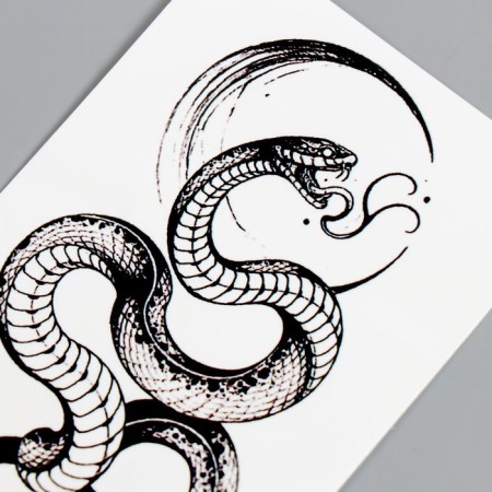 Tattoo on the body Black "Snake" mix 14x7 cm-3