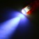 Calligrata Flashlight “Flashlight”, ball, mix