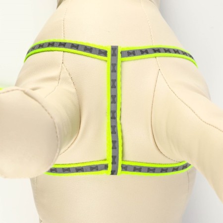 The reflective “bones” set, a collar 120 x 1 cm, Osh 26-42 cm, fire 26-42 cm, green-5