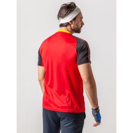 Sports T -shirt male ise, size 46, red color-12