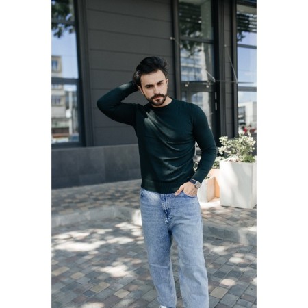 Jumper male ise, size 56, emerald color-6