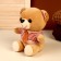 Soft toy "Mishutka in a shirt"