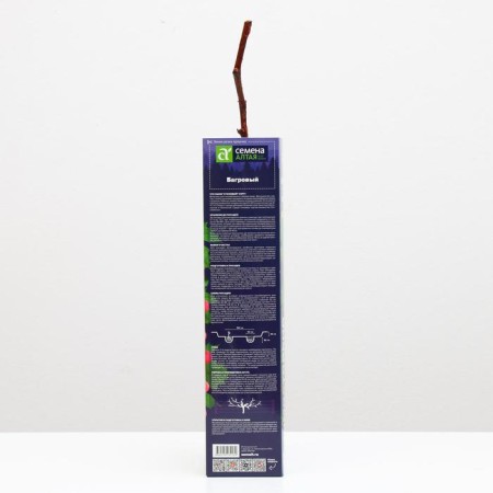 Grape seedling of crimson, spring 2023, 1 pc.-1