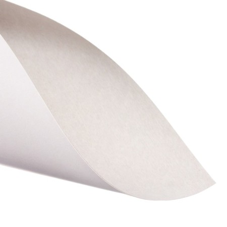 White cardboard A4, 8 sheets "dog with ice cream", coated, cellulose, 230 g/m2-3