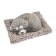 Toy on a car panel, a dog on a pillow, gray color