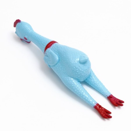 The squeak of "thoughtful chicken XL" for dogs, 41 cm, blue-2