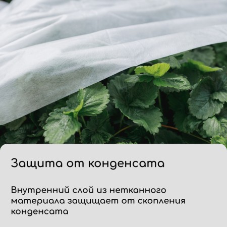Covering material, 5 × 1.6 m, laminated, density 30 g/m², spanbond with UV stabilizer, white, Greengo-4
