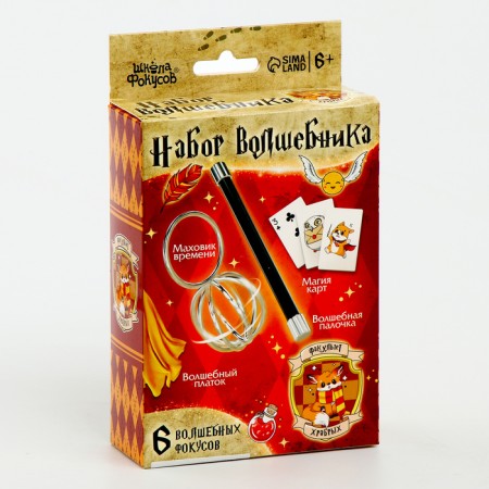 Set of the wizard "Faculty of Brave" 6 pcs.-5
