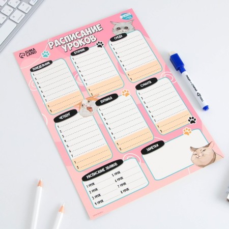 Lesson schedule "Cute cats" A4, reusable magnetic with marker-2