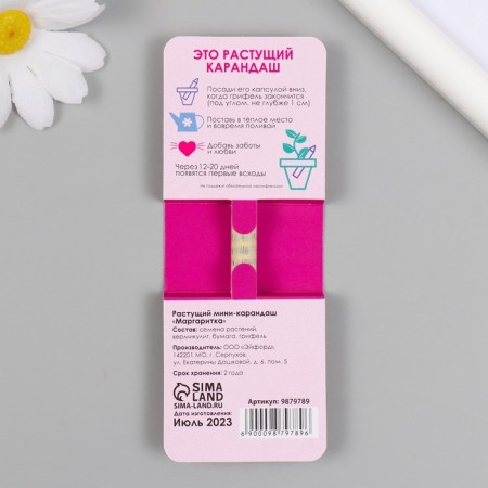 Growing gift pencils mini inspiration of nature "Margarita"-1