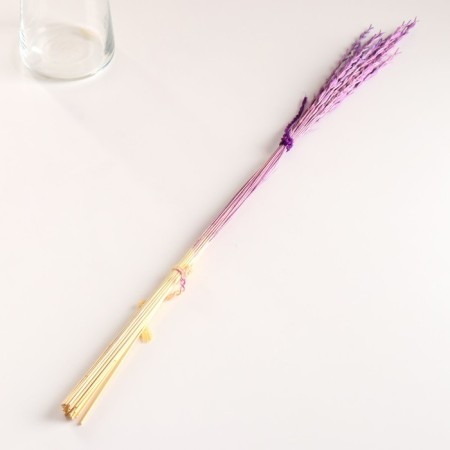 Set of dried flowers "Raigrace", banch 21 pcs, length 60 (+/- 6 cm), lilac-3