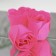 Soap roses, fuchsia, set 6 pcs.
