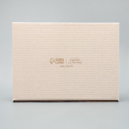 Box the national team "Snow City", Bury, 27 x 21 x 9 cm, New Year-5