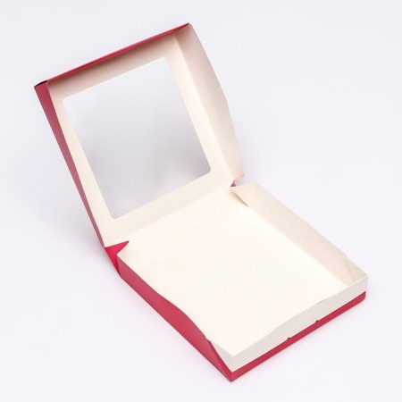 Container for removal, coral, 20 x 20 x 4 cm-3