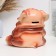 Pigpie "Sharpei" 20x20cm