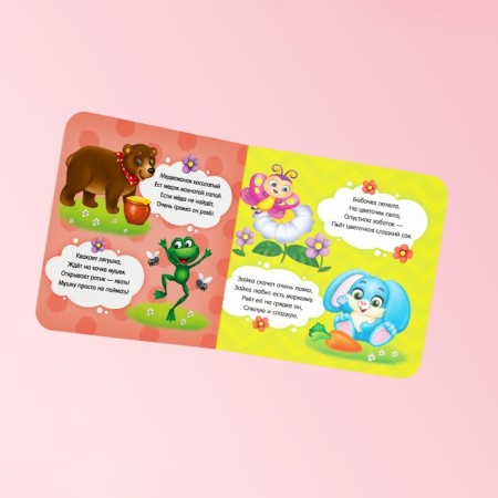 Books Cardboard set “We are getting acquainted with the outside world”, 4 pcs. 10 p.-4