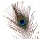 Feather of peacock for decor, set 2 pcs., Size 1 pc. - from 40 to 50 cm