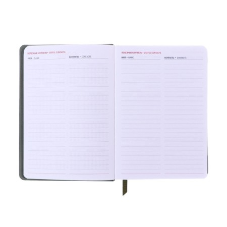 Dated diary of 2025, A6+, 176 sheets "Lyon", solid cover, pancake embossing, with liesa, block 80 g/m2, green-7