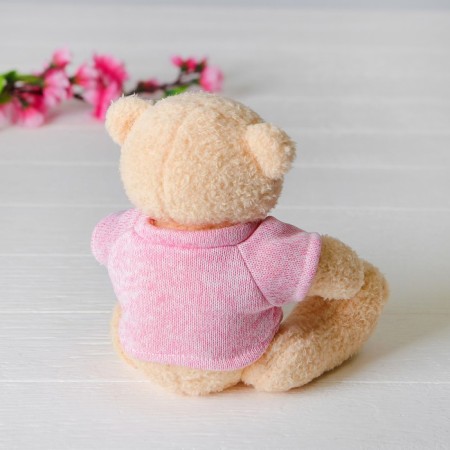 Soft toy "Bear", 20 cm, blouse with the inscription, Mix color-1