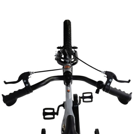 Bicycle 14 ’’ maxiscoo Space standard plus, color gray pearls-5