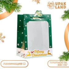 Gift package with the New Year window, embossing, 18 x 25 x 13 cm, green