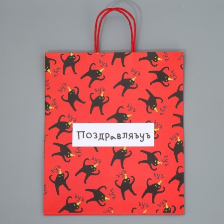 Package Gift Crafts, Packaging, "Congratulations", 28 x 32 x 15 cm-5