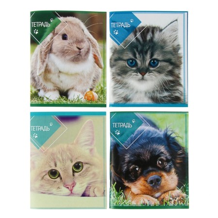 A notebook of 96 sheets in Calligrata "Pets", covered Cardboard, OFSET BOLK, MIX