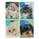 A notebook of 96 sheets in Calligrata "Pets", covered Cardboard, OFSET BOLK, MIX