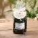 Potorri Hem 100 gr, jasmine