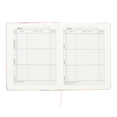 Universal diary for grades 1-11 Inspiration, hard cover, artificial leather, foil embossing, tinted block, 48 sheets-7