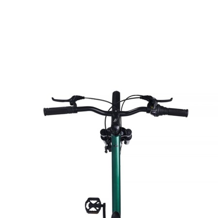 Bicycle 24 ’’ maxiscoo 7bike M300, emerald color-5