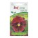 Flowers of Viola fringe "Tango-mango salsa F1", 10 pcs