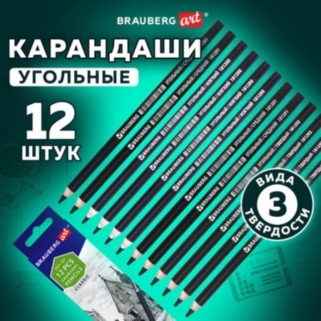 Coal in a pencil set of Brauberg, 12 pieces, different hardness