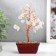 Bonsai souvenir 60 stones "Cash tree with crystals" 13x7x5 cm
