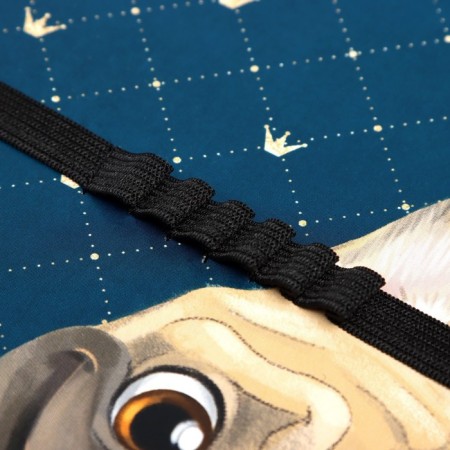 Labor folder A4, 325 x 230 x 25 mm, lightning around, hinged bar, plastic, PTR-1, calligrata "bulldog"-4