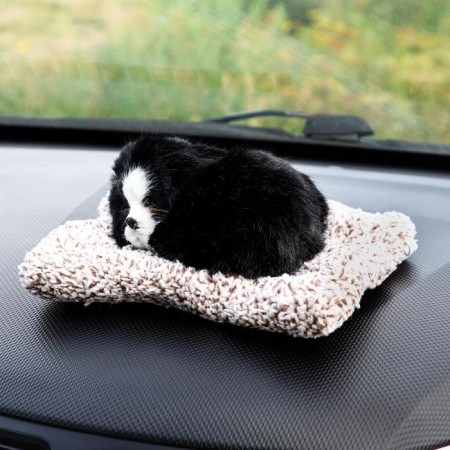 Toy on a car panel, dog on a pillow, black color