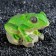 Spray "Frog", 10 x 8 x 7 cm