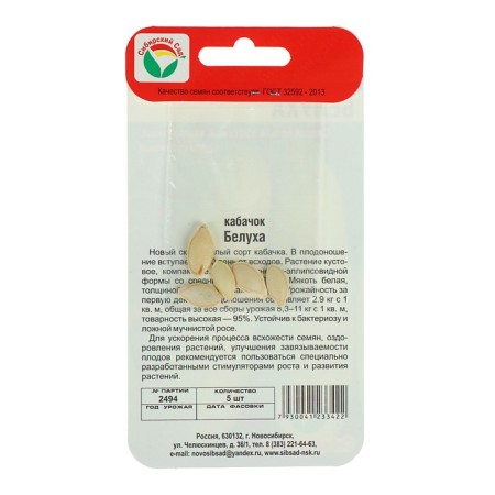 Belukha zucchini seeds, 5 pcs.-2