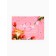 Magnet photo frame "The best day in the world. March 8 ", 10 × 14 cm