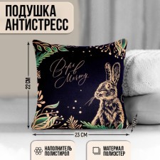 Antistress pillow 