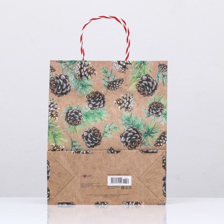 Gift package "cones in the snow" 26 x 32 x 12 cm-3