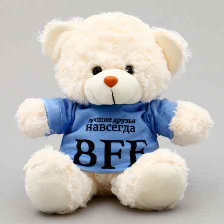 Soft toy Bear "BFF" in the jacket-1