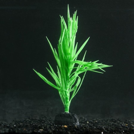 Silicone aquarium plant, luminous in the dark, 7 x 12.5 cm, green