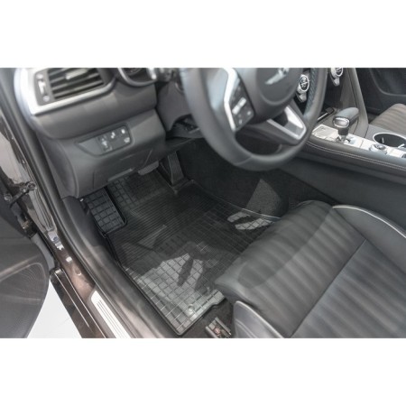 Rubber rugs "net", for Hyundai Solaris II, 2017-n.-2