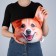 Antistress Pillow "Corgi"