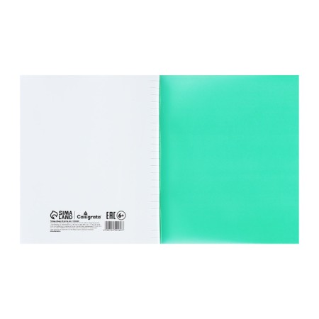 Notebook of 48 sheets in the calligrata "green" line, plastic cover, with alphabet, an offset unit-4