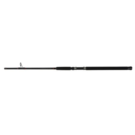 Rod "Volzhanka Predator Talling", test 1-100 g, length 2.1 m