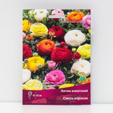 Buttercup Asian mixture of colors, 10 pcs, rr 7/8, spring 2025