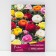 Buttercup Asian mixture of colors, 10 pcs, rr 7/8, spring 2025